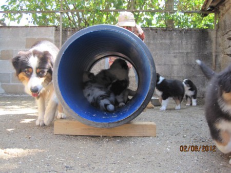 Au milieu dans le tunnel